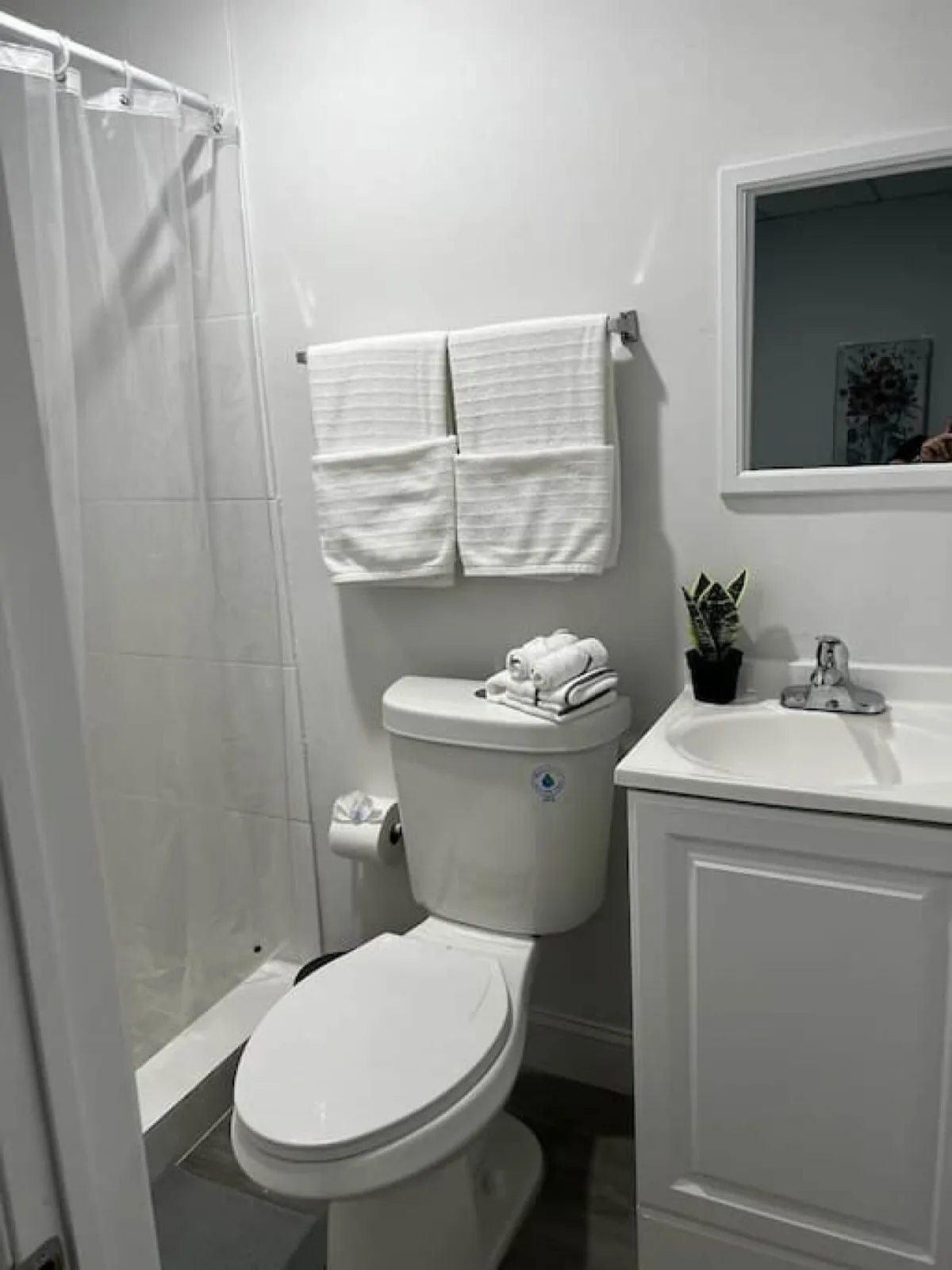 This image features a well-maintained bathroom with a visible toilet, sink, and shower area. Fresh towels are neatly placed, and a small plant adds a touch of tranquility, emphasizing cleanliness and comfort. The space feels calm and inviting, suggesting a spot ideal for personal grooming and relaxation.